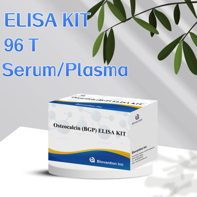 Detection Kit For Osteocalcin BGP For Human Detect Reagent For Human Serum Plasma