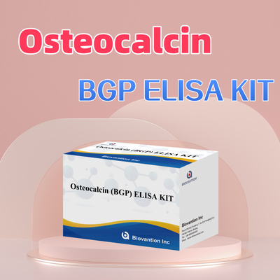 Detection Kit For Osteocalcin BGP For Human Detect Reagent For Human Serum Plasma