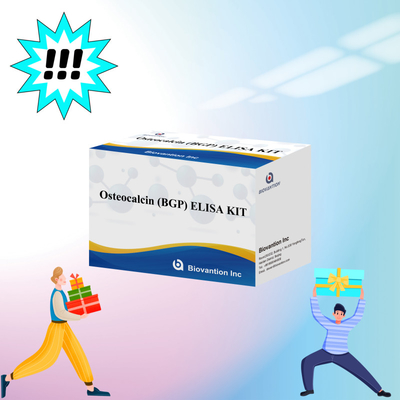 Detection Kit For Osteocalcin BGP For Human Detect Reagent For Human Serum Plasma