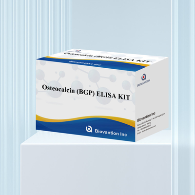 Detection Kit For Osteocalcin BGP For Human Detect Reagent For Human Serum Plasma