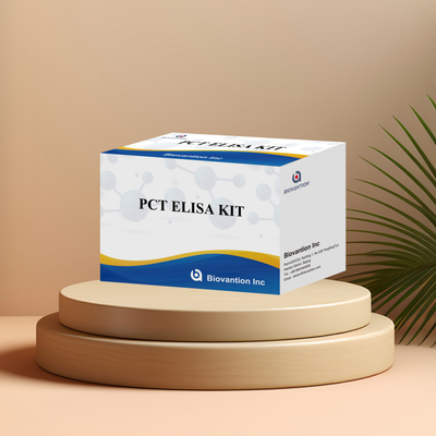 Detection Kit for PCT for human detect reagent for human Serum Plasma