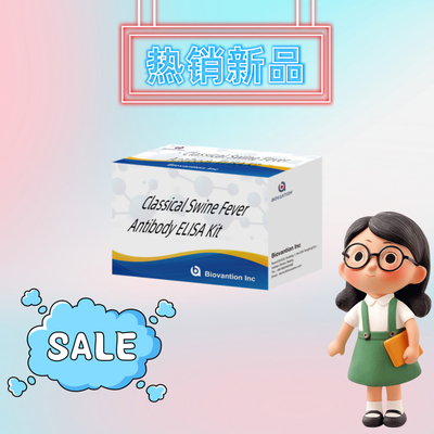 Detection Kit For CSFV Classical Swine Fever Antibody  For Animal Detect Reagent 192T