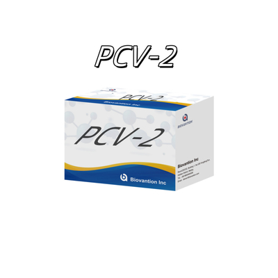 WB/S/P PCV-2 ELISA test for animal antibody veterinary Reagents