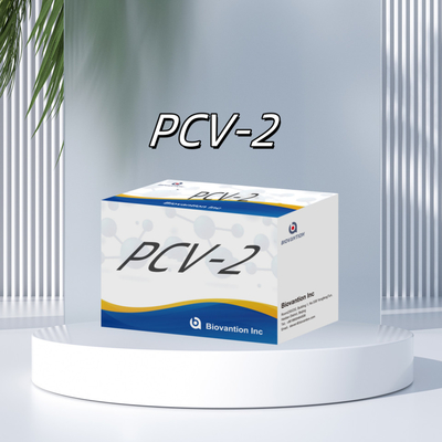 WB/S/P PCV-2 ELISA test for animal antibody veterinary Reagents
