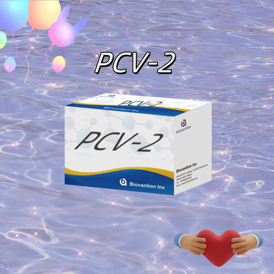 WB/S/P PCV-2 ELISA test for animal antibody veterinary Reagents