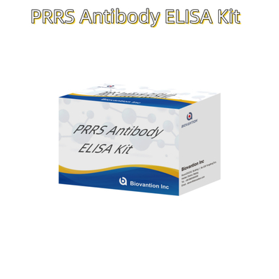 ELISA test for animal PRRSV Porcine PRRS antibodies antibody veterinary Reagents ivd