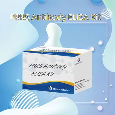 ELISA test for animal PRRSV Porcine PRRS antibodies antibody veterinary Reagents ivd