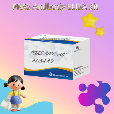 ELISA test for animal PRRSV Porcine PRRS antibodies antibody veterinary Reagents ivd
