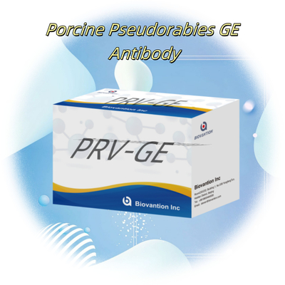 Detection Kit for animal detect reagent PRV-GE Antibody ELISA Kit