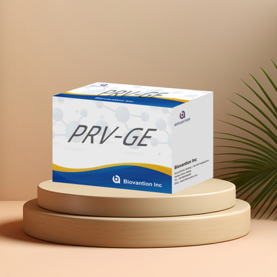 ELISA test for animal PRV-GB Porcine pseudorabies GB antibody veterinary Reagents ivd