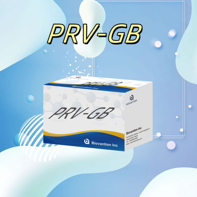 Specificity ELISA Immunoassay Kit for Serological Detection PRV reagent