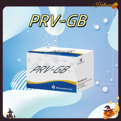 Specificity ELISA Immunoassay Kit for Serological Detection PRV reagent