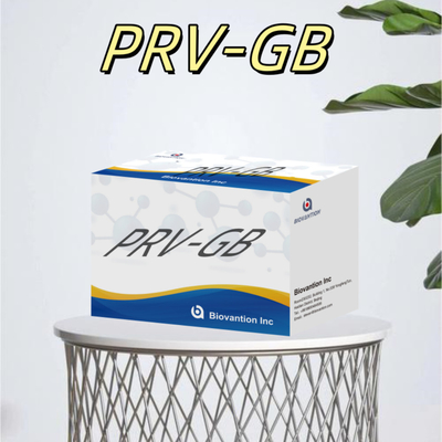 Specificity ELISA Immunoassay Kit for Serological Detection PRV reagent