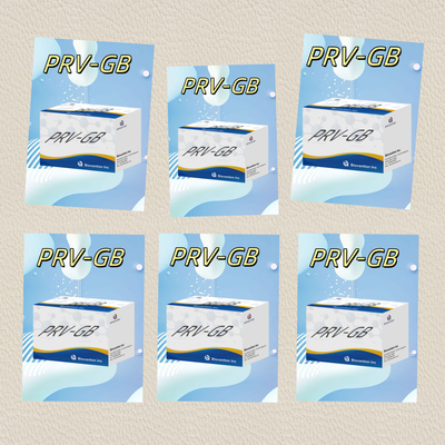 Specificity ELISA Immunoassay Kit for Serological Detection PRV reagent