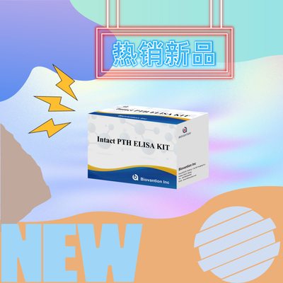 Detection Kit For Intact PTH For Human Detect Reagent For Human Serum Plasma
