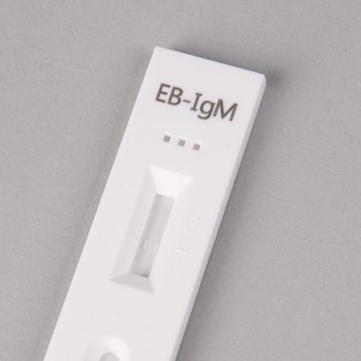 EB Colloidal Gold Rapid Test for Accurate Results in 5-15 Minutes