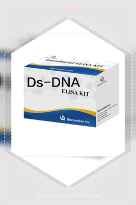 Anti Ds-DNA IgG ELISA Test Kit Qualitative Anti Double Stranded DNA Antibody