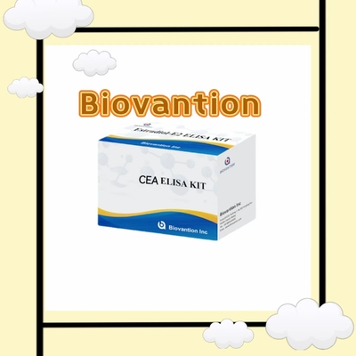 Carcinoembryonic Antigen CEA ELISA Test Kit  Enzyme-Linked In  Human Serum