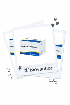 VCAM-1 RUO Elisa Kit Human Vascular Endothelial Cell Adhesion Molecule 1