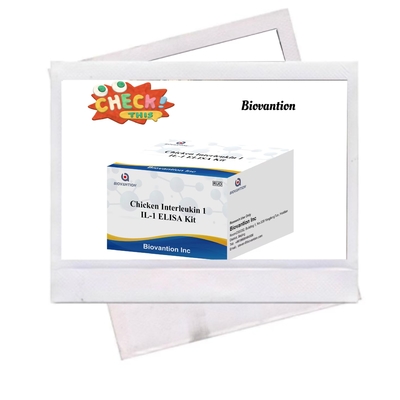 IL 1 ELISA Test Kit Interleukin-1 Human Serum And Plasma Immunoassay