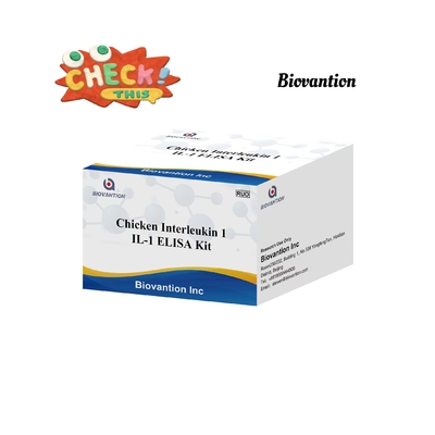 IL 1 ELISA Test Kit Interleukin-1 Human Serum And Plasma Immunoassay
