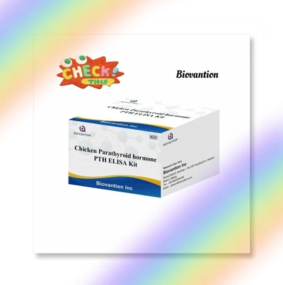 PTH ELISA Test Kit Chicken Enzyme-Linked Immunosorbent Parathyroid Hormone Serum