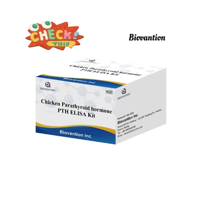 PTH ELISA Test Kit Chicken Enzyme-Linked Immunosorbent Parathyroid Hormone Serum