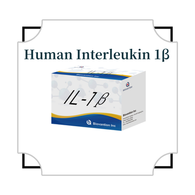 IL-1β Sensitive ELISA Kit For Research Use With 95% Sensitivity And 6 Month