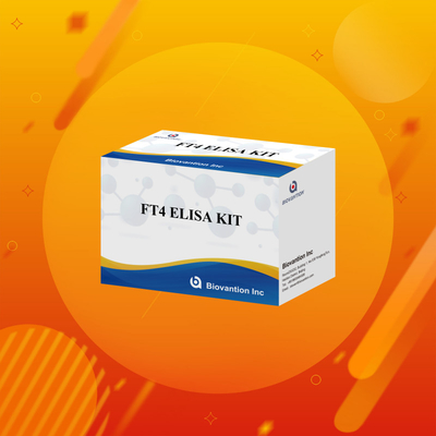 FT4 Elisa Kit With 95% Sensitivity In Vitro Test Reagent For Human Use