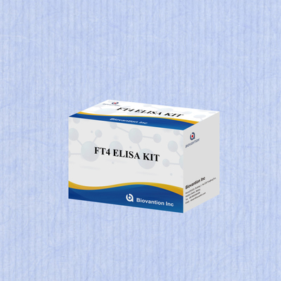 TOXO IgM IgG Igg Igm Elisa Kit For Human Use Diagnostic Reagent Test Kit With 96 Kit