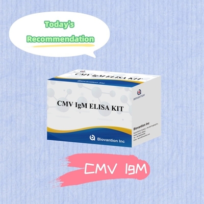 Macrophage IgM qualitative ELISA Test IVD Experimental Kit High Sensitive