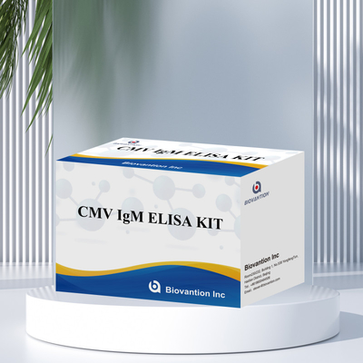 Macrophage IgM qualitative ELISA Test IVD Experimental Kit High Sensitive