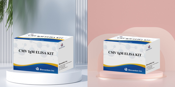 Macrophage IgM qualitative ELISA Test IVD Experimental Kit High Sensitive