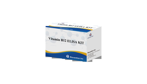 Vitamin B1 Elisa Test Kit Animal Test Of Enzyme-Linked Product RESEARCH USE ONLY