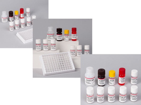 Laboratory Or Hospital High Precision Human Ferritin FE ELISA TEST KIT