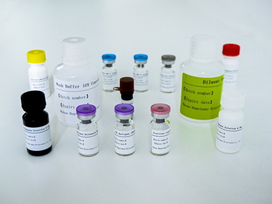 Easy-to- TB-IGRA ELISA Test Kit With Long Shelf Life And 2C-8C Preservation Method
