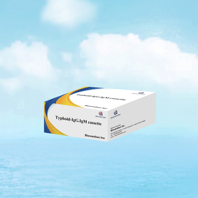 Hot Sale Typhoid IgM IgG For Laboratories Hospitals Typhoid Fever Blood Rapid Test Kit