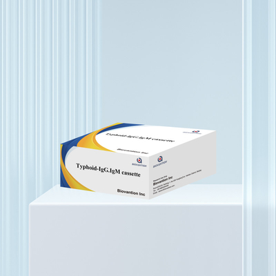 Hot Sale Typhoid IgM IgG For Laboratories Hospitals Typhoid Fever Blood Rapid Test Kit