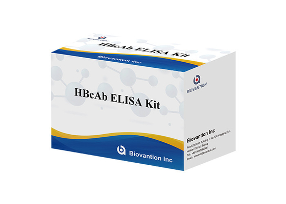 Hot Sale Diagnostic Reagent Human Use With 96 Test Hbc Antibody HBcAb Elisa Kit
