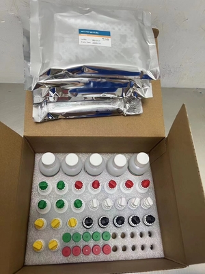 New Arrival IVD Reagent HCV Diagnostic Reagent Test For Human Hospital Clinic Lab