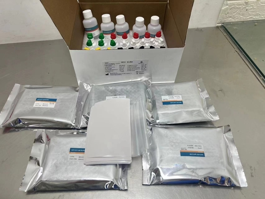 New Arrival IVD Reagent HCV Diagnostic Reagent Test For Human Hospital Clinic Lab