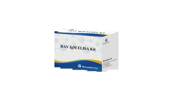 HAV IgM Elisa Test Hepatitis A Diagnositc Kit In Vitro Enzyme Immunoassay