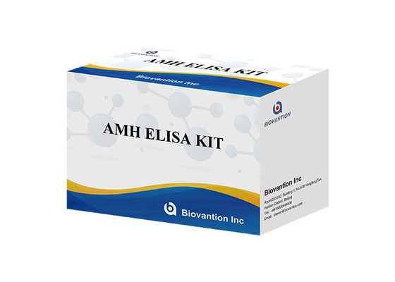 Anti-Mullerian hormone AMH Elisa Test Kit For human use with Serum Plasma