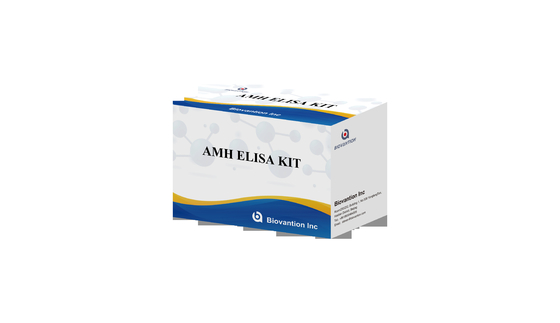 Anti-Mullerian hormone AMH Elisa Test Kit For human use with Serum Plasma