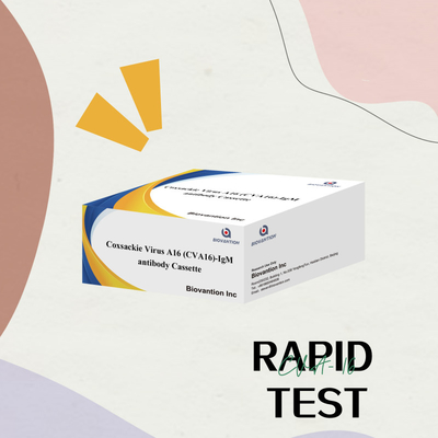 CVA16 IVD diagnostic reagent Coxsackie Virus A16 CVA16-IgM Antibody Cassette WB/S/P Colloidal Gold Rapid Test