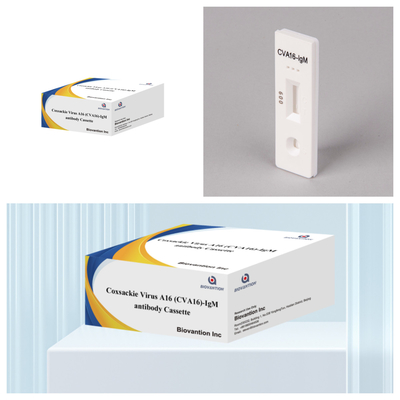CVA16 IVD diagnostic reagent Coxsackie Virus A16 CVA16-IgM Antibody Cassette WB/S/P Colloidal Gold Rapid Test