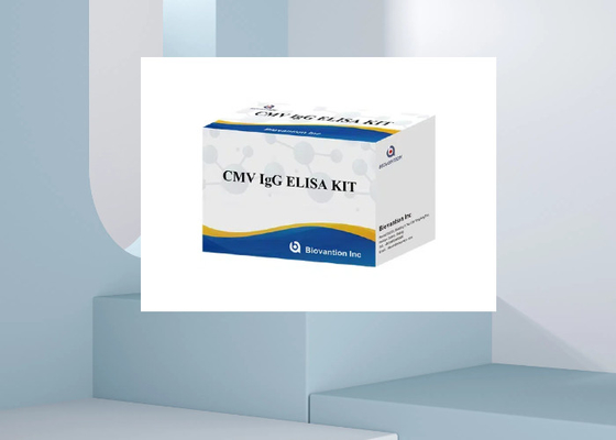 CMV IgG Elisa Test Kit ELISA Diagnostic Kit IgG Antibodies To Cytomegalovirus