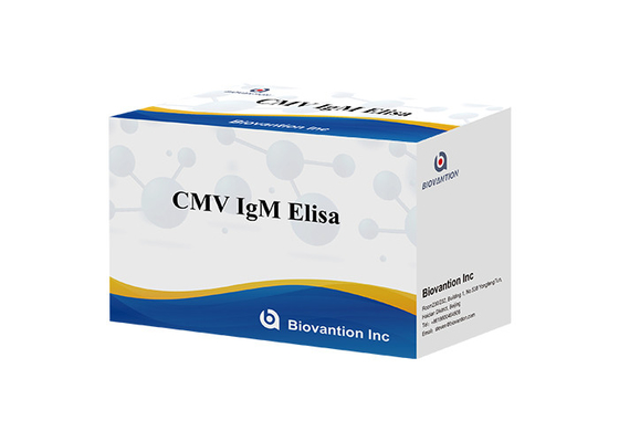 CMV IgG Elisa Test Kit ELISA Diagnostic Kit IgG Antibodies To Cytomegalovirus