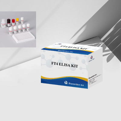 FT4 Elisa Test Kit Free Thyroxine Enzyme-Linked Immunoassay Kit Quantitative test