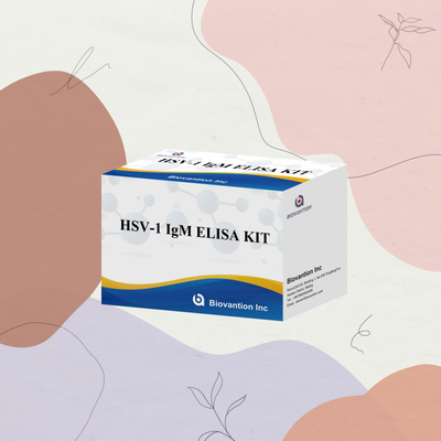Biovantion Specificity HSV-1 IgM Elisa Serum / Plasma Test Kit With 2-8\u00b0C Storage Temperature